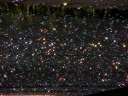 Dew on shadecloth