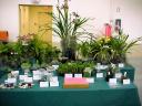 San Diego CSA Display